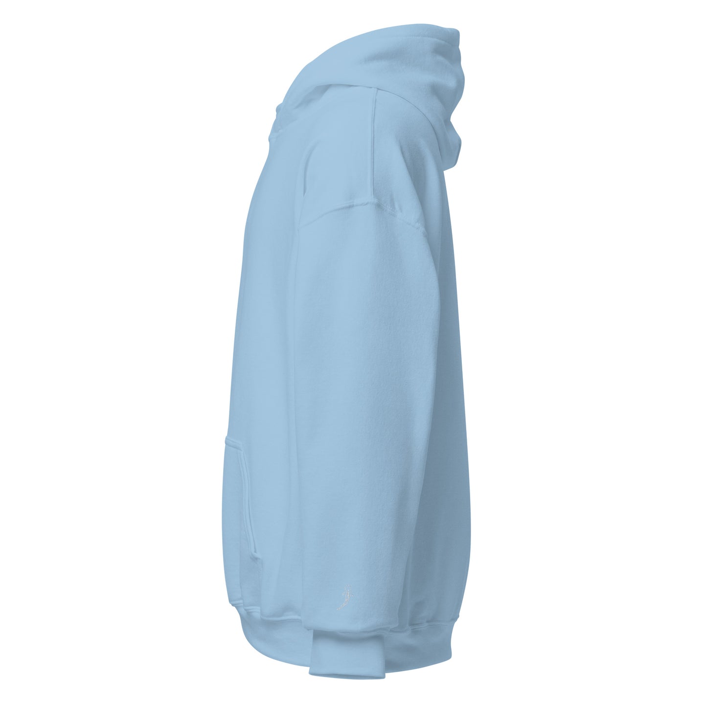 Minimalist Whaleshark Hoodie