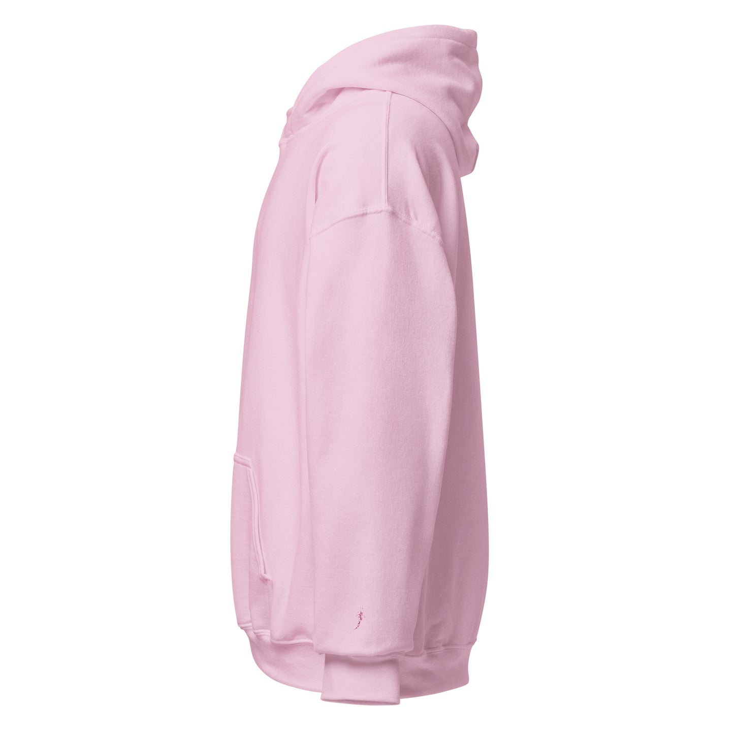 Minimalist Whaleshark Hoodie