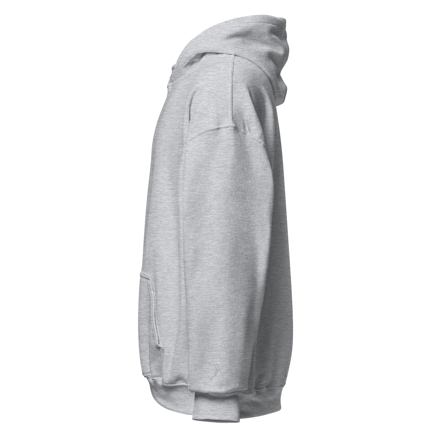 Minimalist Whaleshark Hoodie
